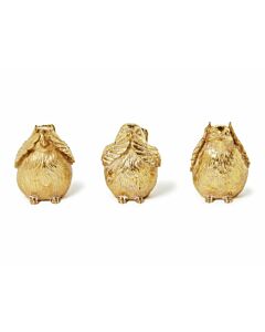 Birds Gold See No Evil
