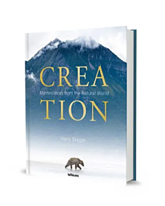 Creation English And German