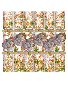 THANKSGIVING CRACKERS